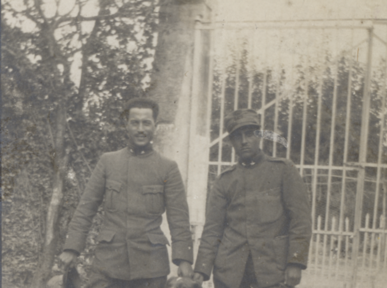 Davide e Umberto, 1915