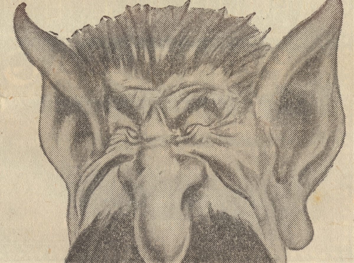 Le stimmate somatiche degenerative in Stalin. 1942