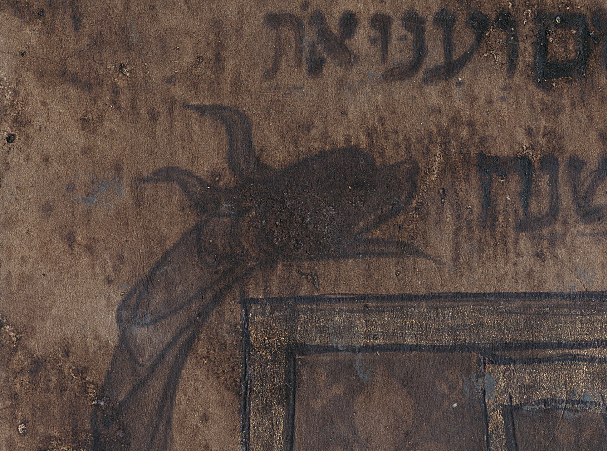 Torah, forse un rotolo rituale, megillot